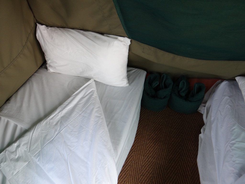 Safari tent beds at Oddballs Camp Botswana