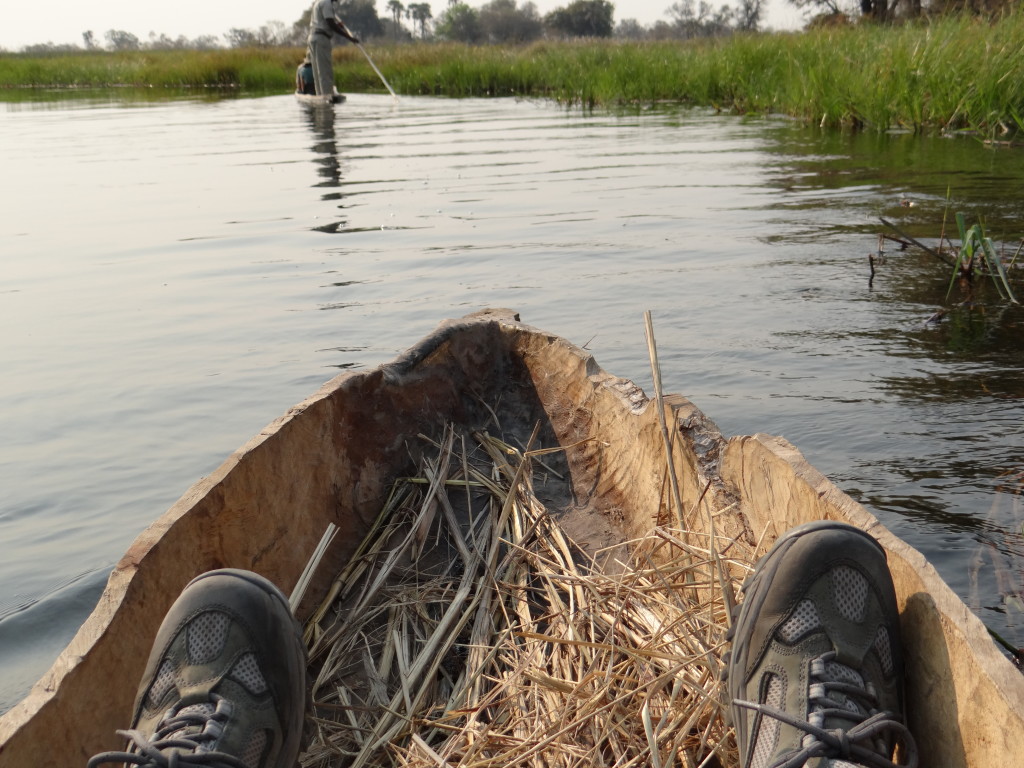 exploring by boat in the okavango delta botswana moremi game reserve