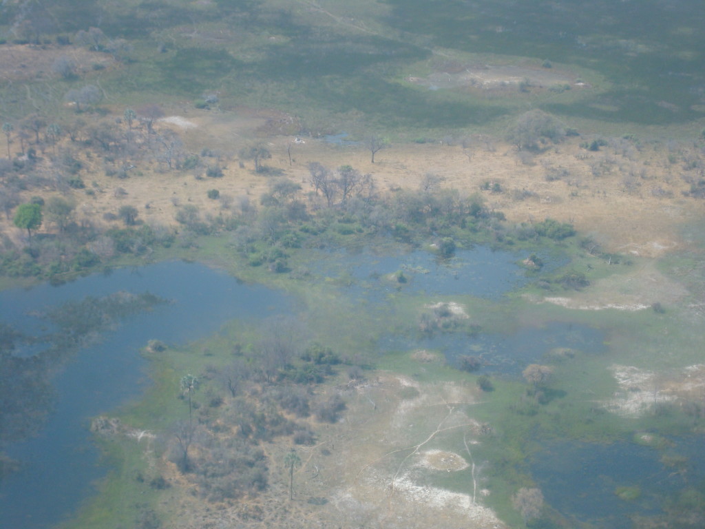 Okavango Delta landscape from air