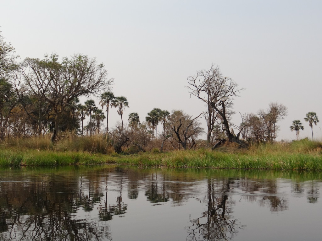 Okavango Delta Botswana