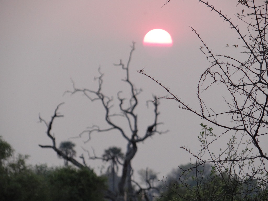 Sunset in the Okavango Delta of Botswana