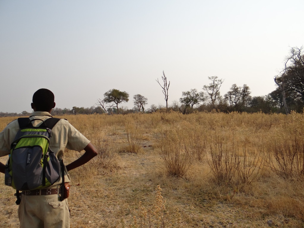 Guide Okavango Delta