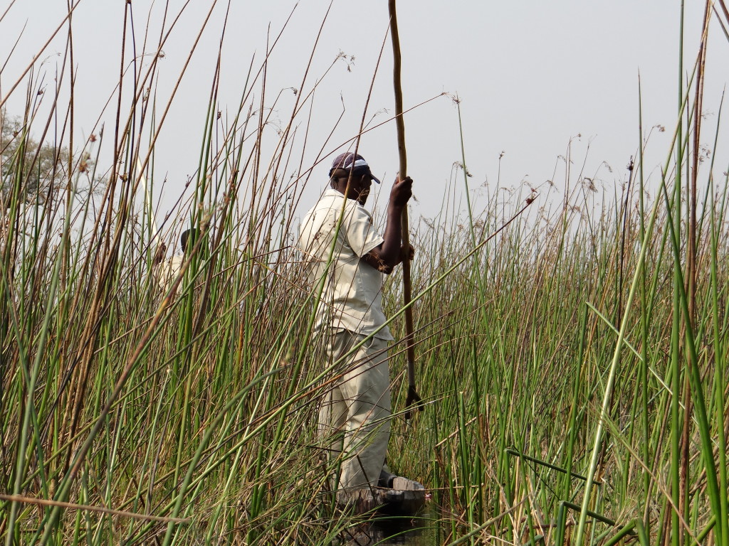 Mokoro and guide Okavango Delta before we begin the walking safari in Botswana