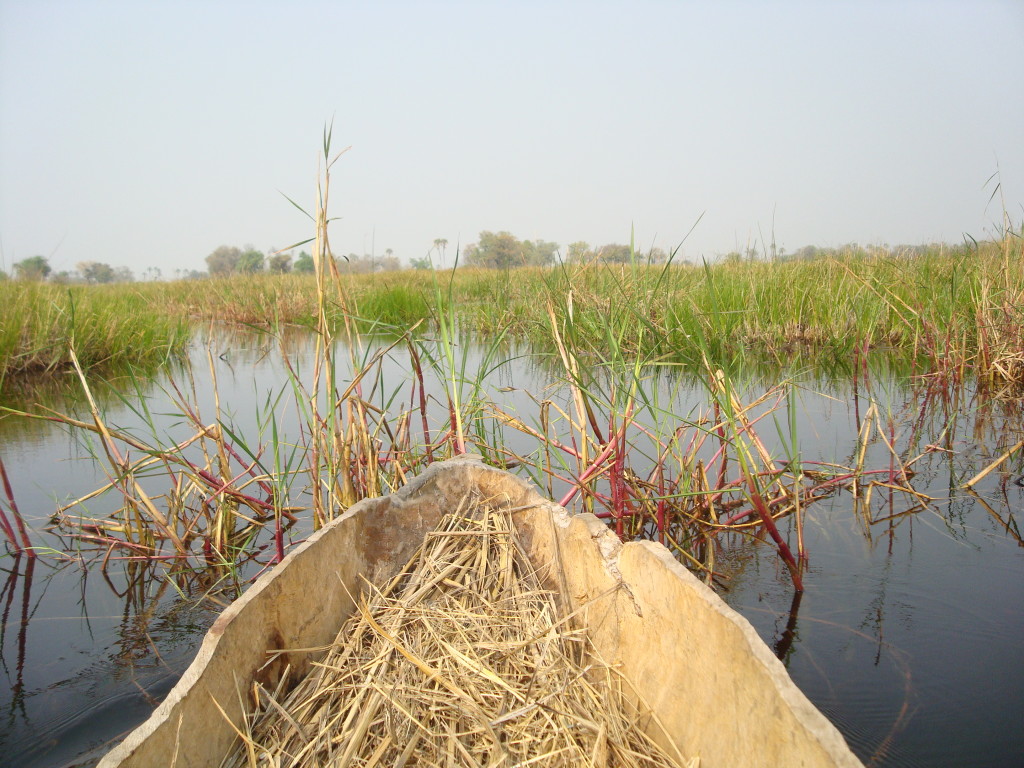 Okavango Delta Botswana mokoro boat