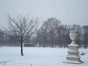 Paris snow in the park
