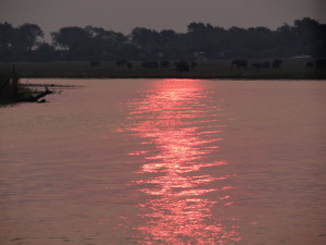 Sunset at Chobe