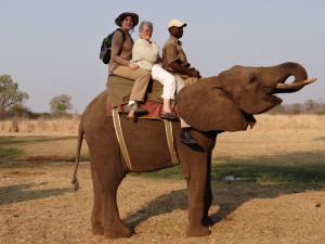 Elephant Ride at Reserve w/Helen
