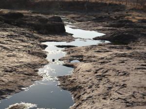 Not quite the happening water hole