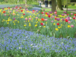 A visual palette of color and variety at Keukenhof Garden