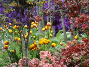 Colorful garden at Philadelphia Flower Show