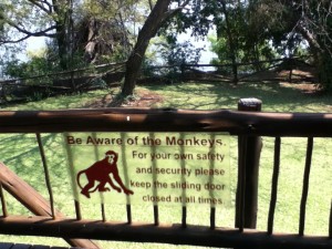 My balcony warning and view