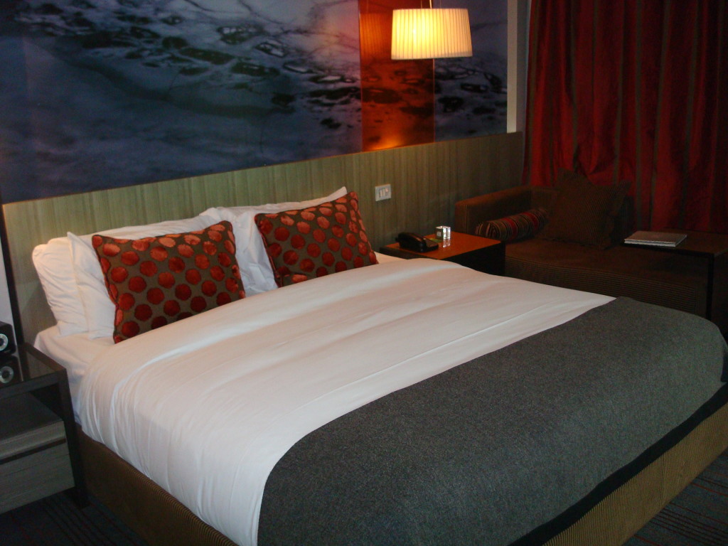 W Santiago standard room