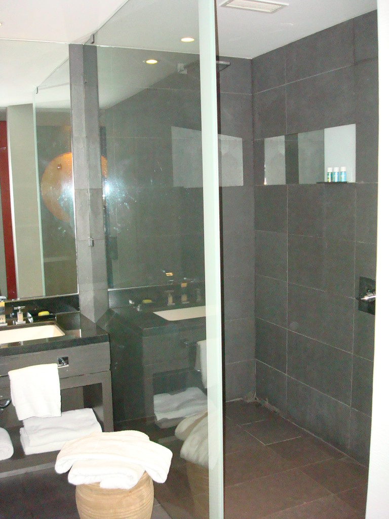 W Santiago Bathroom