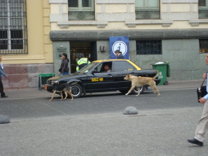 Not quite the passengers you want