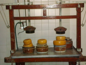 Cheese equipment