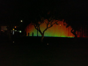 The fountain behind the tree