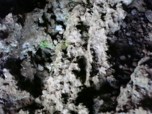 The walls inside the cave with two windows