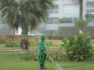 The gardens in Barranco - Bike Tour Lima