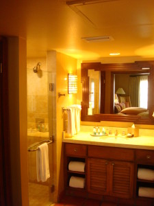 Bathroom w/walk in shower