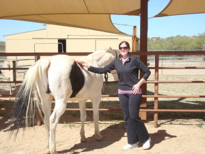 Brushing the horse