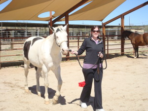 Taking the horse for a walk