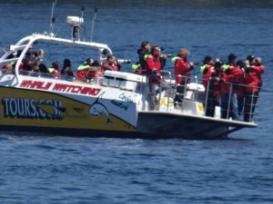 Friday Harbor tour boat