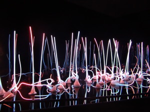 Glass Forest Chihuly