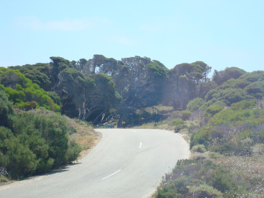Rottenest Island WA