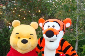 A fun orange combo - Tigger and Pooh