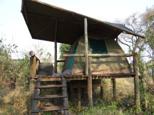 My room in the Okavango Delta