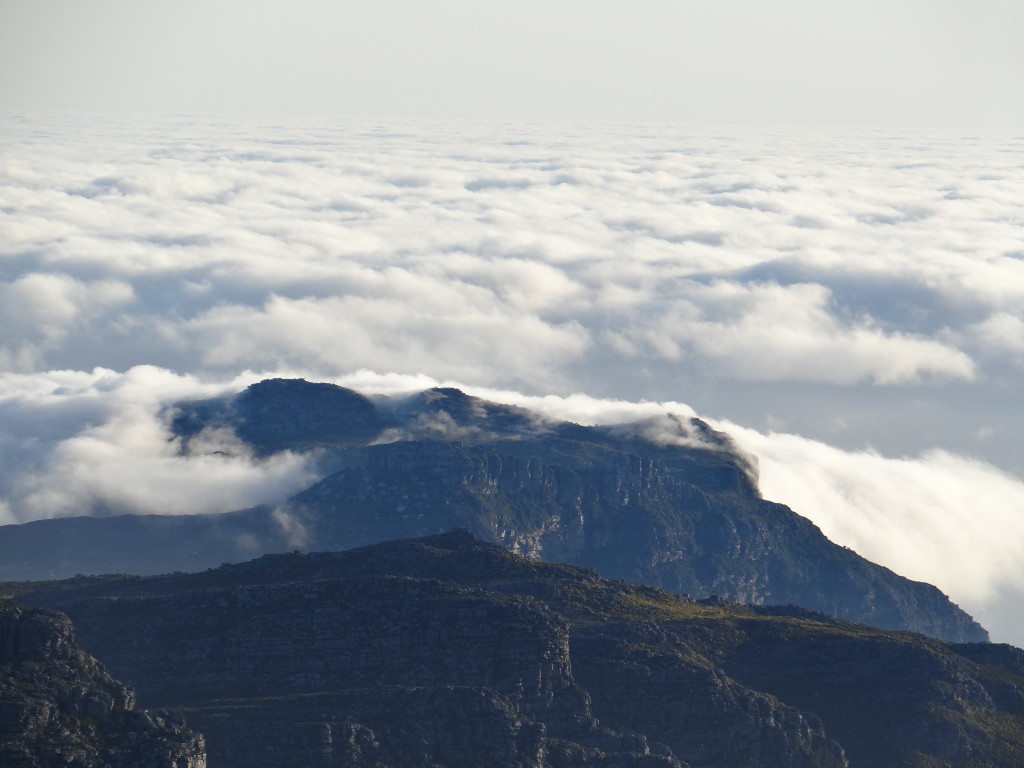 Atop Table Mountain Capetown