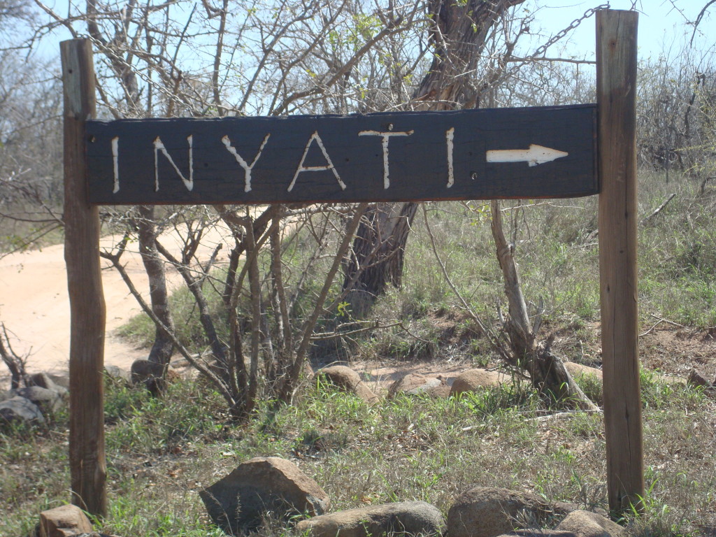Inyati Sabi Sands South Africa safari