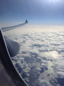 Aer Lingus Seat 2A view first class travel convenience