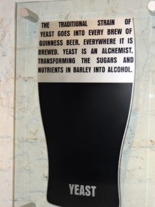 Guinness Storehouse Tour Yeast
