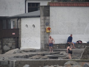 Out for a morning dip in the cold water -they do this everyday!