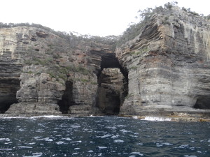 Coastline Tasmania boat tour