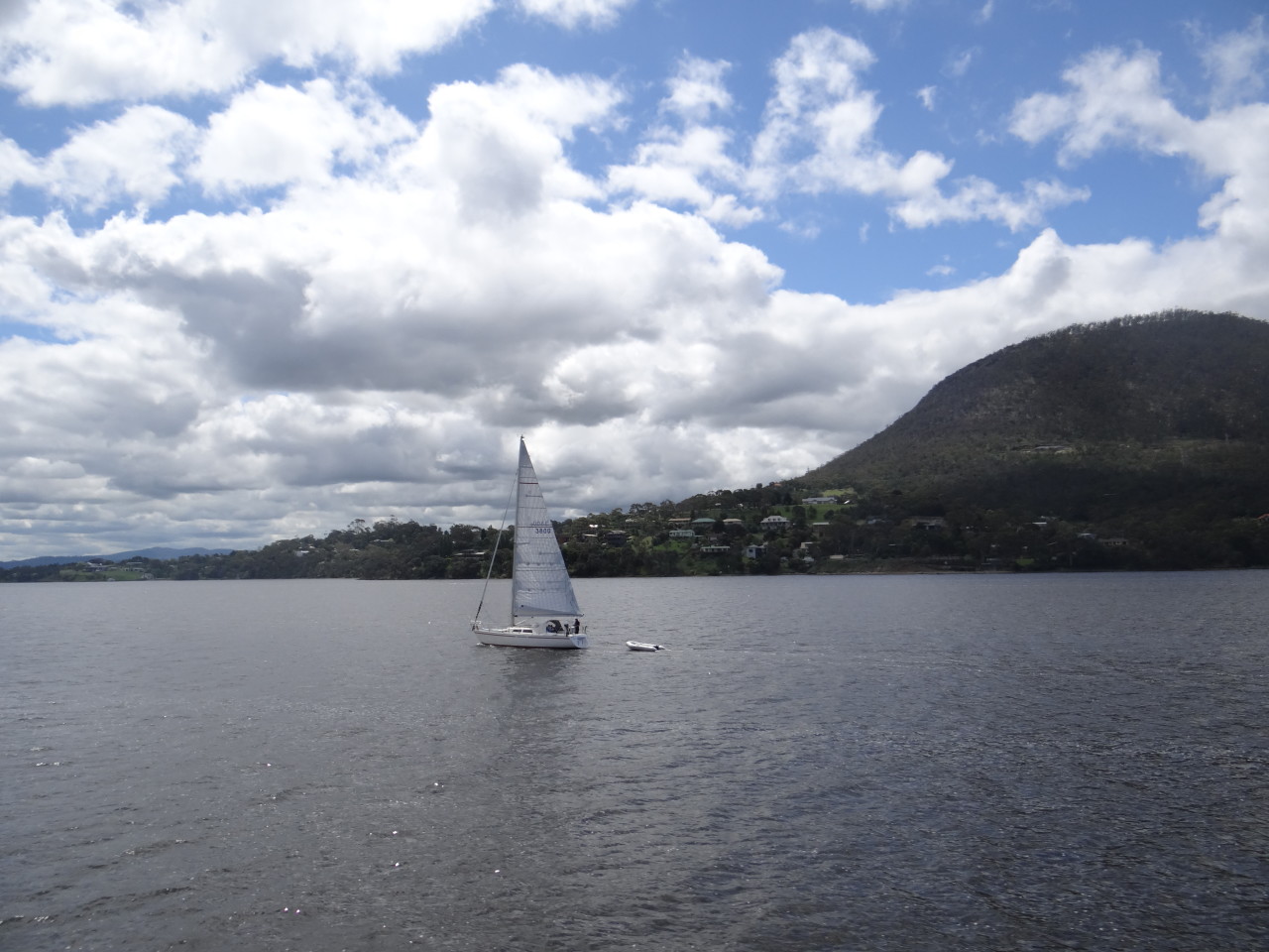 Sailing in Hobart, Tasmania on water with blue skies and puffy clouds