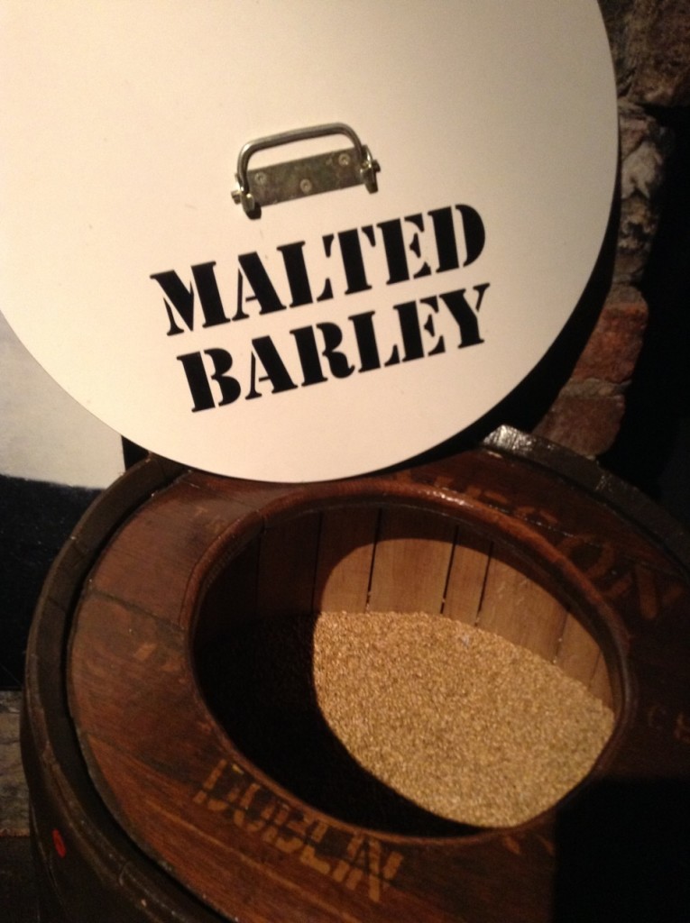 Malted Barley at Jameson Whiskey