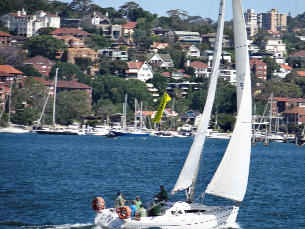 Sailing in Sydney Harbour