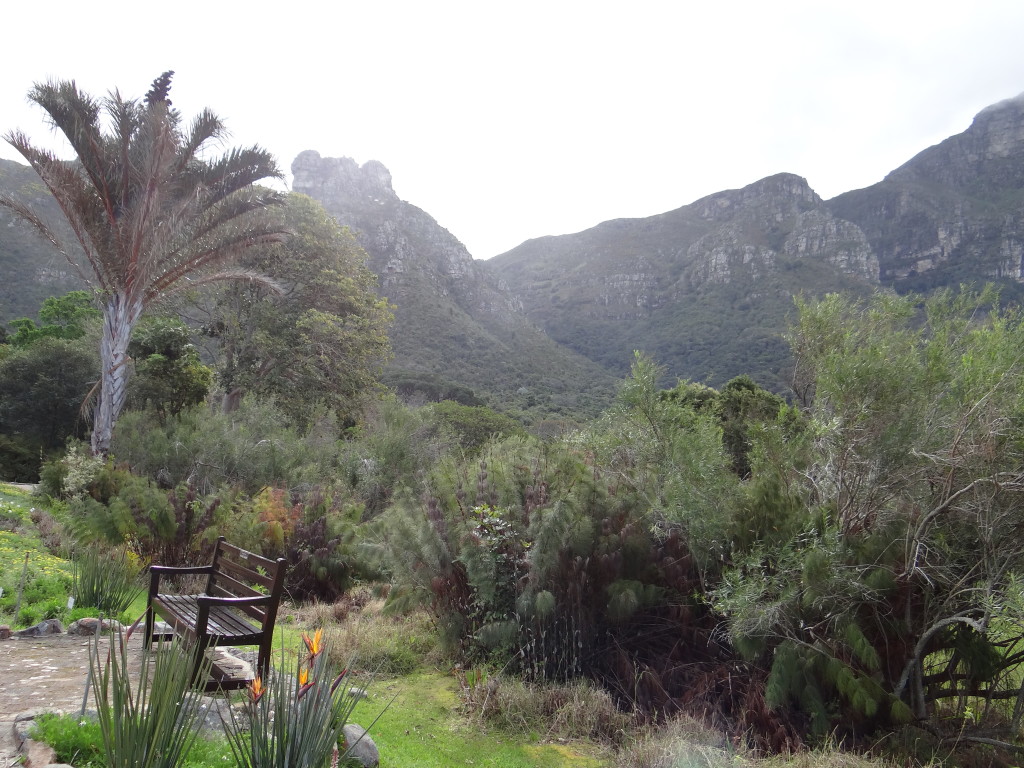 Kirstenbosch Botanical Gardens