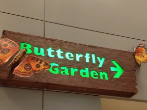 Butterfly Garden Changi