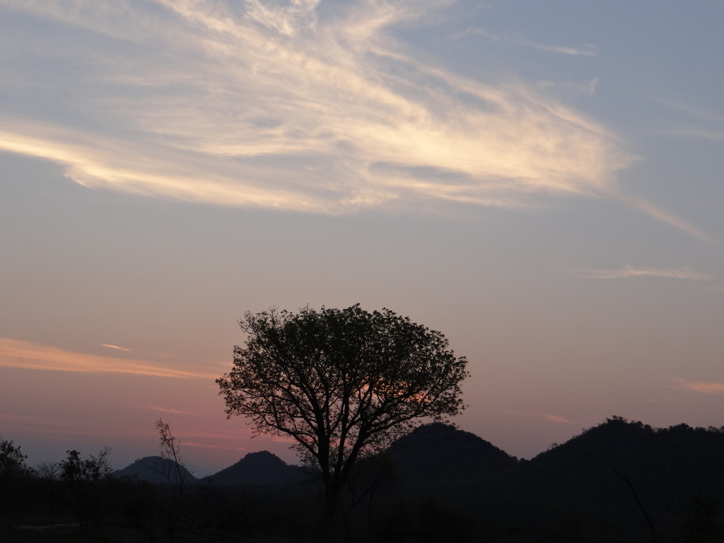 Sunset in South Africa Sabi Sands - Award Ticket IAD to JNB