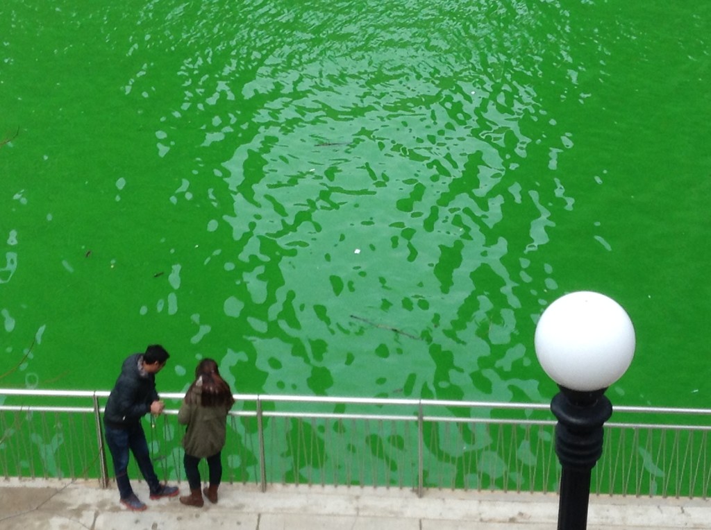 Chicago Green River for St. Patrick's Day with couple