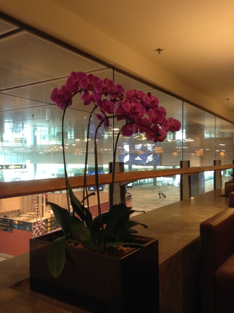 Singapore Airlines lounge