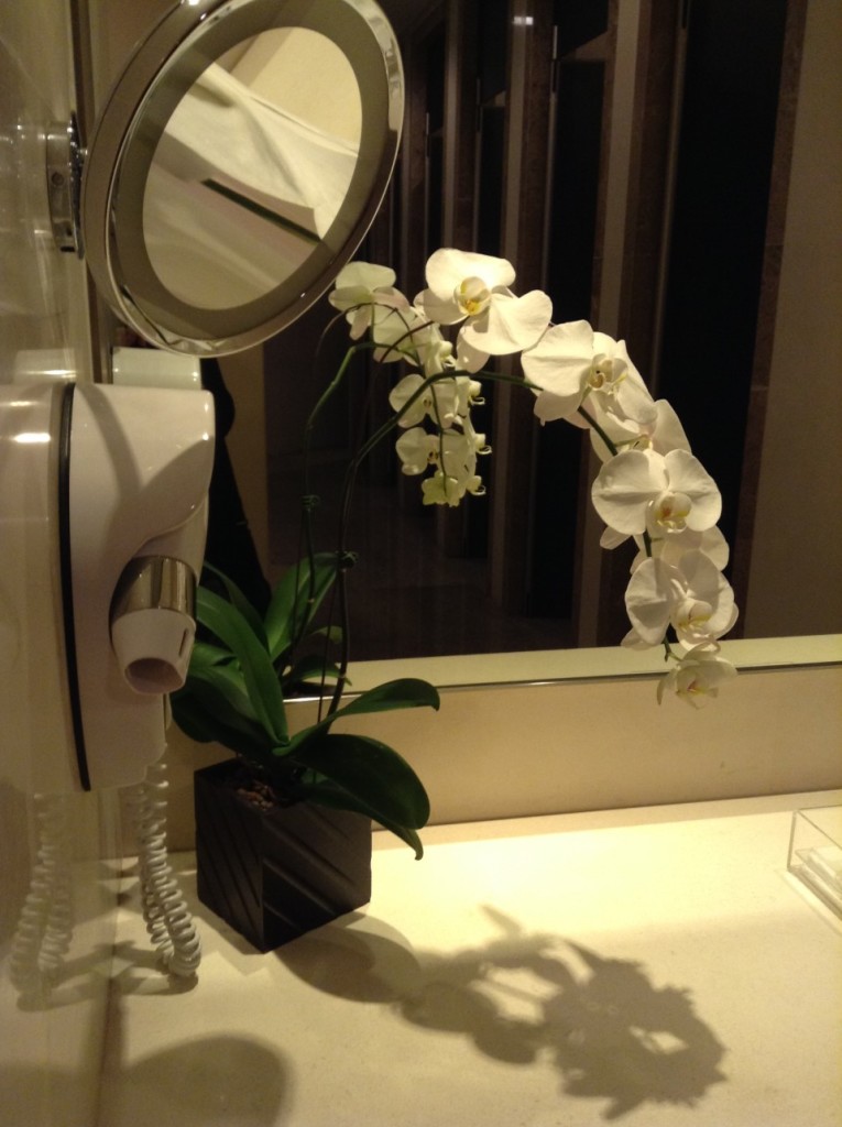 SilverKris lounge orchids