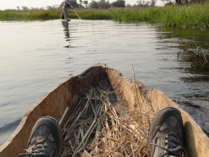 Mokoro view of Okavango Delta