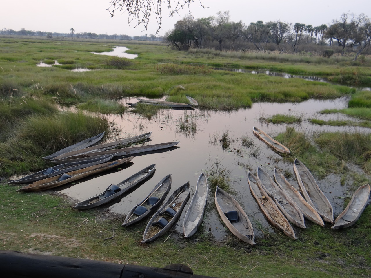 Oddballs' Camp Okavango Delta Botswana