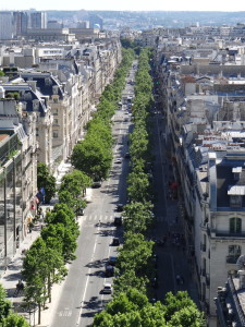 Paris tree lined street