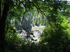 Snoqualmie Falls 