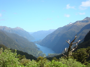 Doubtful Sound